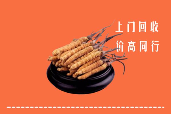高价求购：漳州市平和回收散虫草