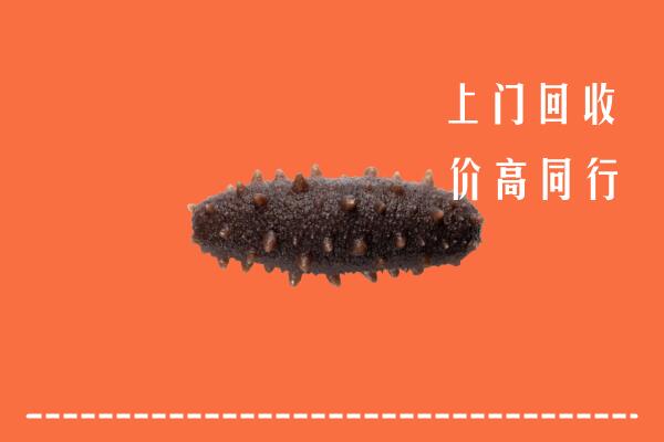 高价求购：漳州市平和回收海参