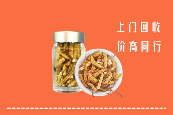 漳州市平和回收冬虫夏草
