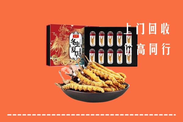 漳州市平和回收虫草